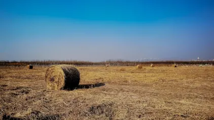 וינזינייטור קזינו אפליקציה לנייד